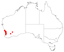 Isopogon drummondiiDistMap15.png