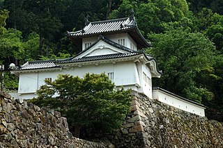 <span class="mw-page-title-main">Izushi Domain</span> Japanese feudal domain located in Tajima Province