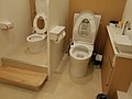 Smart toilet in Japan (see also Toilets in Japan).