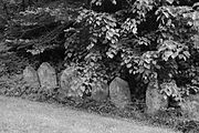 Židovský hřbitov v Mariánských lázních.