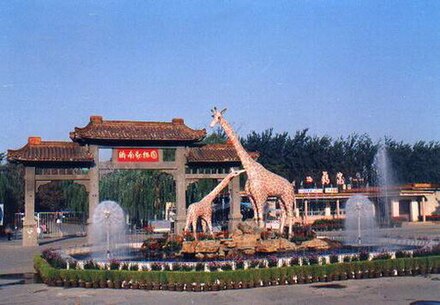 Jinan shandong province. Jinan Zoo Цзинань. Цзинань зоопарк. Jinan Zoo. Зоопарк в Китае 1150.