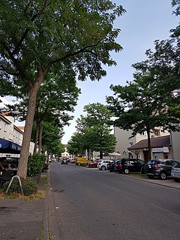 Köln Theklastraße Allee