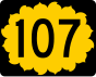 K-107 işaretçisi