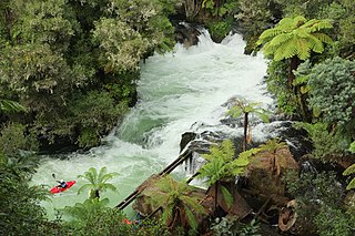 Okere Falls Town in Bay of Plenty, New Zealand