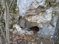A Kis-lapos-barlang bejárata