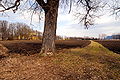 Fields south of the Weinlaender paper mill and the Glanfurt