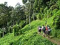 Uf em Kokoda Track