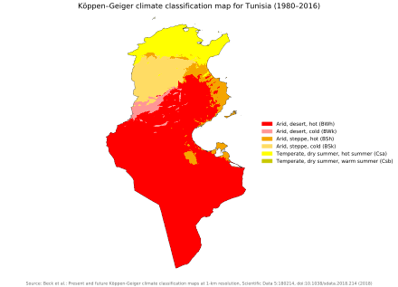 Köppen climate classification in Tunisia. The climate is Mediterranean towards the coast in the north, while most of the country is desert.