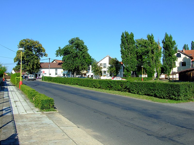 File:Krabčice, cesta od Rovného.jpg