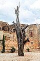 * Nomination Dead tree (with bullet from the warlike attack in 1866) in Arkadi Monastery (Μονή Αρκαδίου) in Rethmyno Regional District, Crete, Greece --XRay 03:06, 12 October 2023 (UTC) * Promotion  Support Good quality. --Johann Jaritz 03:28, 12 October 2023 (UTC)