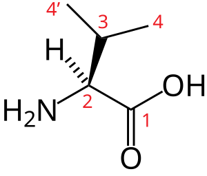 Valină: Caracteristici, Structura, Biosinteza