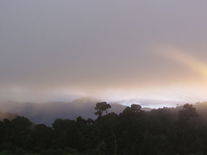 File:La Amistad Panama Biosphere Reserve - Parque Nacional Volcan Baru (a core zone) 06.JPG