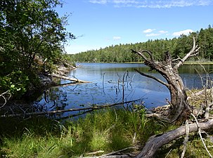 Lanan, Tyresta: Sjö i Tyresta nationalpark