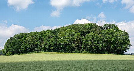 Landschaftsschutzgebiet Webelsbusch 01