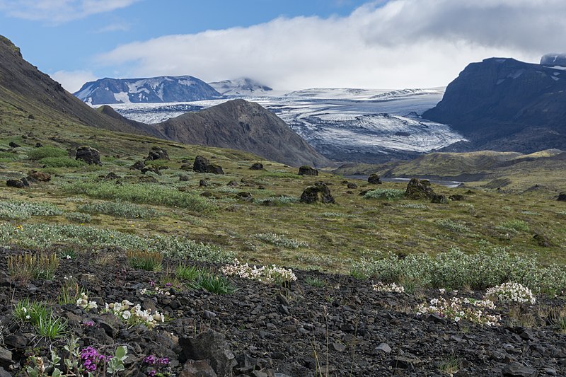 File:Laugavegur hiking trail, Iceland 14.jpg