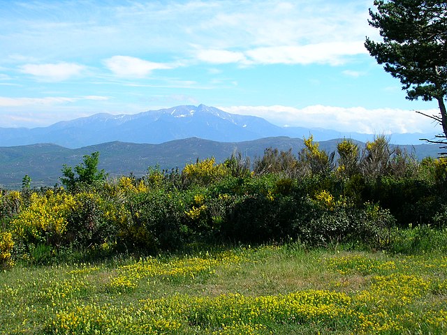 Canigou