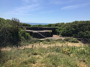 Wembury photo