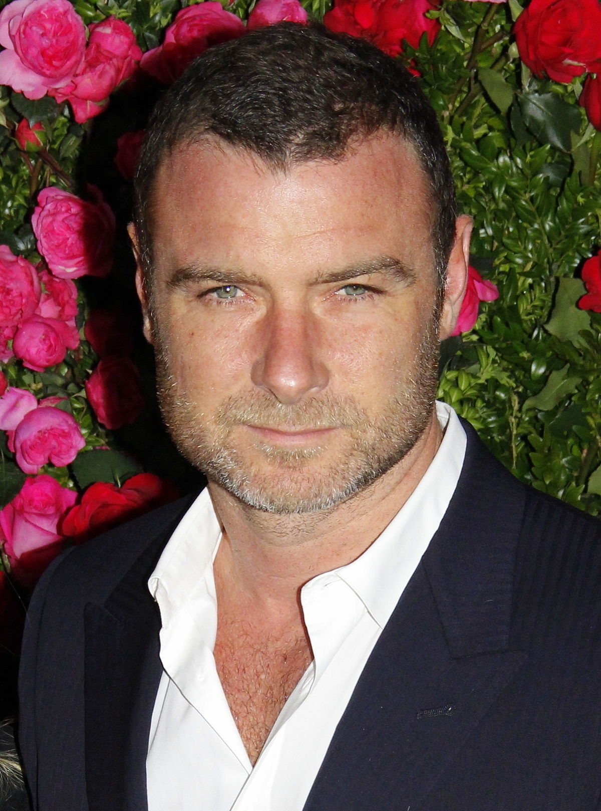 Who is the 'Hard Knocks' narrator? Familiar voice on HBO series belongs to  actor Liev Schreiber