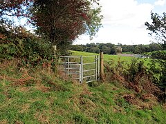 Llwybr i Eglwys Llangynnwr - Path to Llangunnor Church - geograph.org.uk - 6286060.jpg