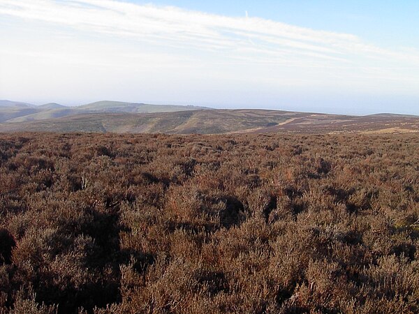 View from Pole Bank looking north