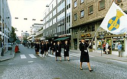 Svenska Lottakåren: Organisation, Historia, Rikslottachefer