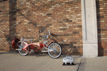 motorized lowrider bicycle for sale