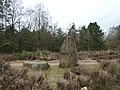 Maasmechelen-Menhir Mechelse Heide (5).JPG