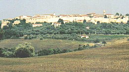 Magliano in Toscana – Veduta