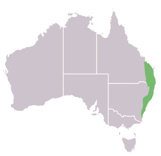 File:Malurus lamberti distribution map.svg