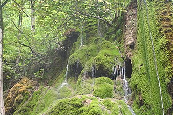 Mamirli Waterfall in Qax State Nature Sanctuary. Photograph: Interfase