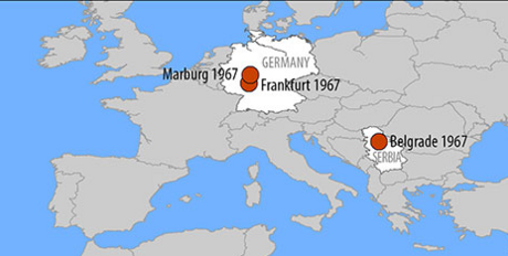 1967 Marburg virus disease outbreak