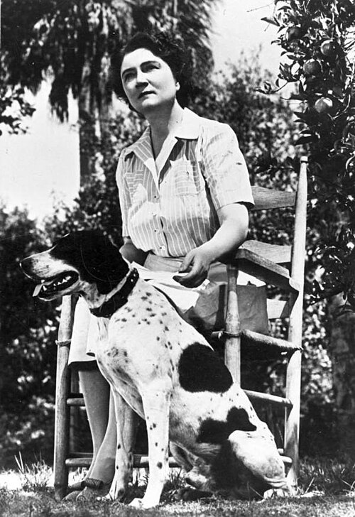 The Yearling won Floridian Marjorie Kinnan Rawlings a Pulitzer Prize for her glimpse at life in central Florida.