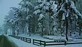 Marupe cemetary winter time - panoramio.jpg