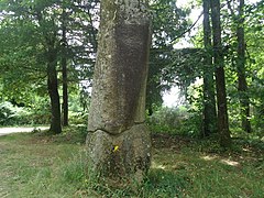 Le menhir du Pic.