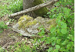 Der Menhir von Klosterhäseler