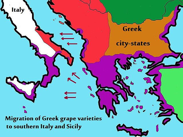 During the Greek colonization of southern Italy, Greek settlers brought with them new grape varieties, perhaps including the ancestor vine of Greco.