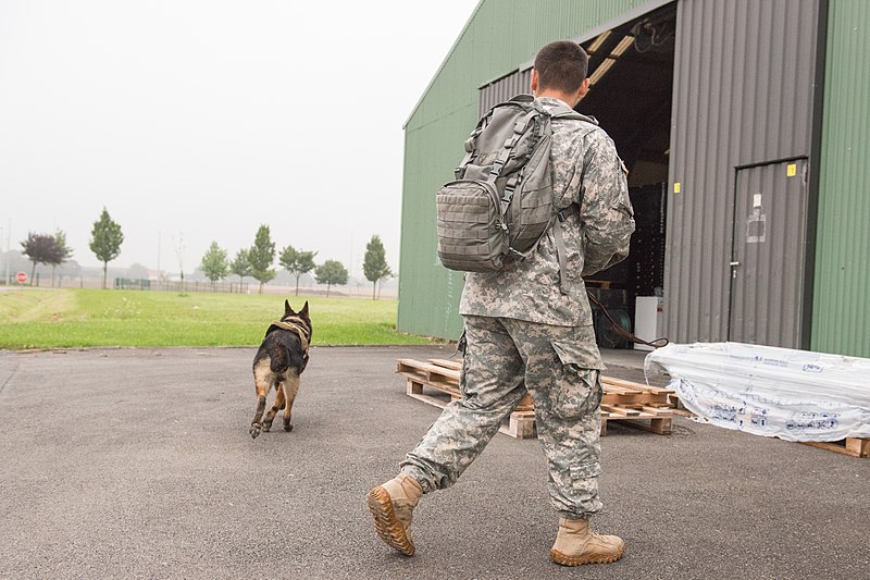 File:Military working dog and handler practice explosives detection 140729-A-BD610-030.jpg