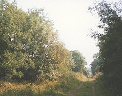 Milton Halt Railway Station.jpg