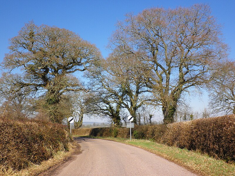 File:Minor road from Marsh Green to Rockbeare - geograph.org.uk - 1738125.jpg