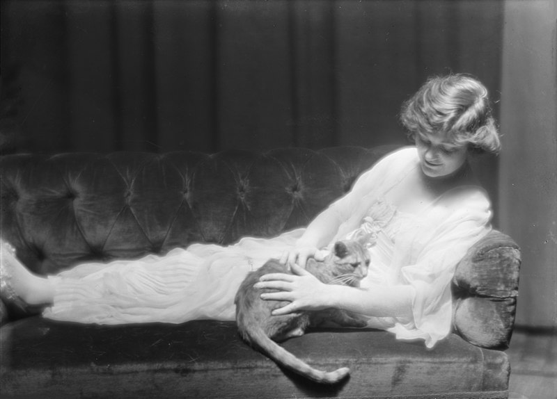 File:Murdock, Ann, Miss, with Buzzer the cat, portrait photograph.jpg