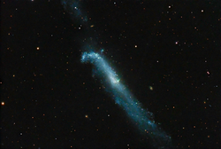 UGC 7907 NGC4656 The Hockey Stick Galaxy