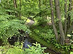 Naturschutzgebiet Hardenberger Bachtal