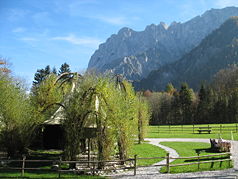 Willow dome