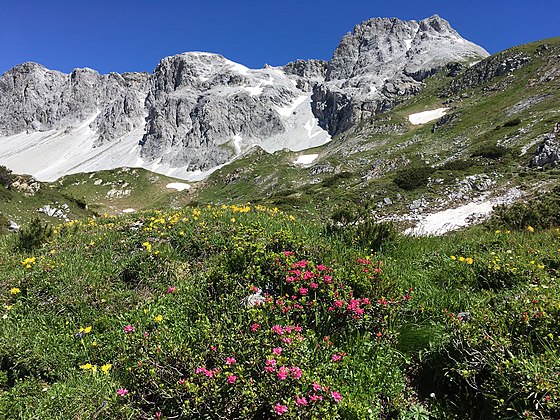 Naturpark Riedingtal in Zederhaus, Kärnten von Naturpuur