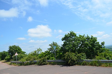 Naturschutzgebiet Rothenberg