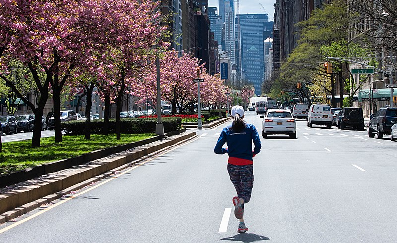 File:New York City Jogger Runs Down An Empty Park Ave COVID19.jpg