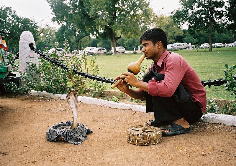 File:Next to india gate - panoramio.jpg