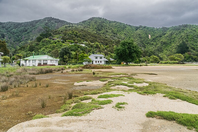 File:Ngakuta Bay Recreation Reserve 13.jpg