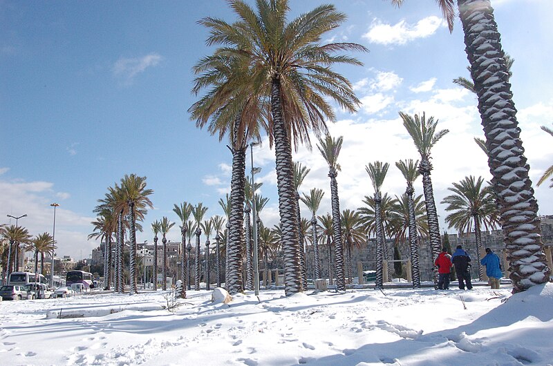 File:Old Jerusalem in a new guise.jpg