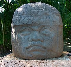Image 17The identities of the Olmec colossal are uncertain, but their individualized features and distinctive headgear, as well as later Maya practice, suggest that these heads portray rulers rather than deities. (from History of Mexico)